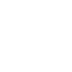 External Audit